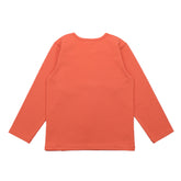 Кольорові дракони - сорочка